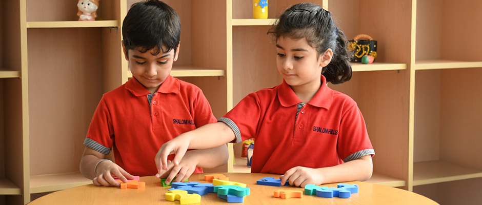 SHIS-Blog-Top CBSE Pre Nursery School in Gurgaon.jpg