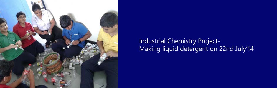 Industrial Chemistry Project