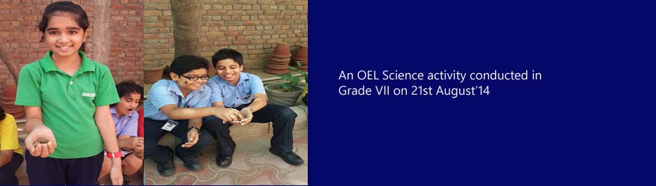 An OEL Science activity