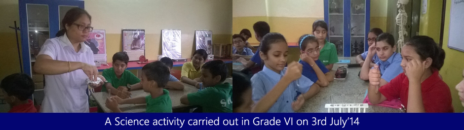 Science activity on 30th June 14